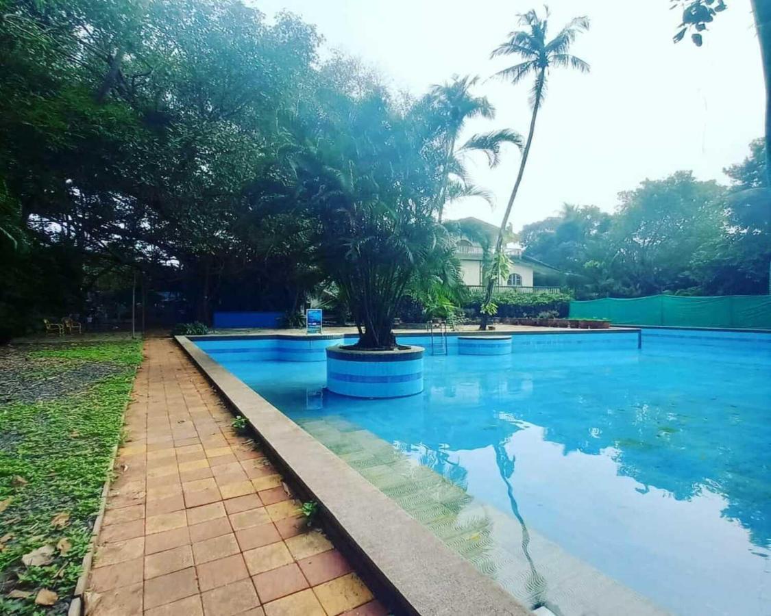 Piggy Calangute By Urban Nomads - Dorms & Pvt Rooms Exterior photo